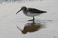 Sept. 22, 2008 - Sandy Point State Reservation, Plum Island, Massachusetts.