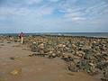 Sept. 25, 2008 - Sandy Point State Reservation, Plum Island, Massachusetts.<br />John doing his thing.