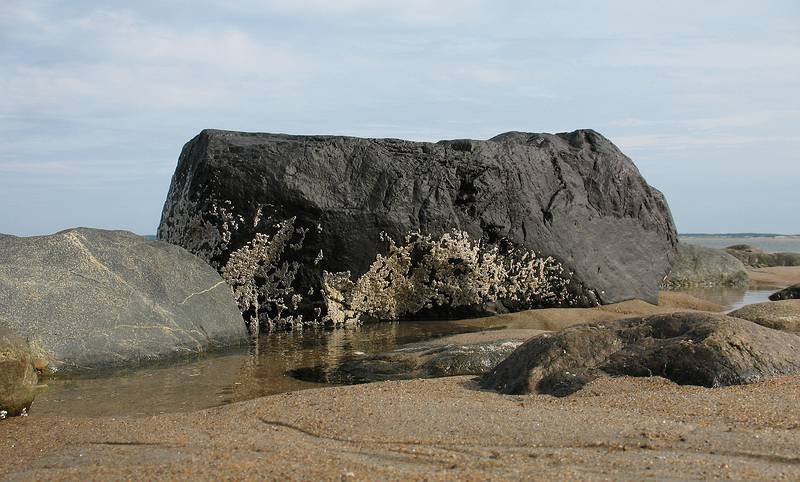 Sept. 25, 2008 - Sandy Point State Reservation, Plum Island, Massachusetts.