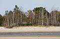 Sept. 25, 2008 - Sandy Point State Reservation, Plum Island, Massachusetts.