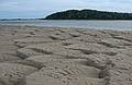 Sept. 25, 2008 - Sandy Point State Reservation, Plum Island, Massachusetts.