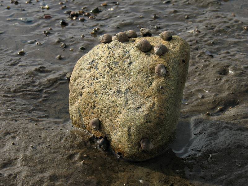 Sept. 25, 2008 - Sandy Point State Reservation, Plum Island, Massachusetts.