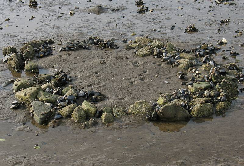 Sept. 25, 2008 - Sandy Point State Reservation, Plum Island, Massachusetts.