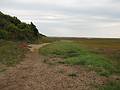 October 5, 2008 - Great Island, Cape Cod National Seashore, Massachusetts.