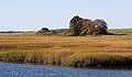October 7, 2008 - Parker River National Wildlife Refuge, Plum Island, Massachusetts.<br />View from Stage Island overlook access path.