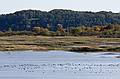 October 7, 2008 - Parker River National Wildlife Refuge, Plum Island, Massachusetts.<br />View south from Stage Island overlook.