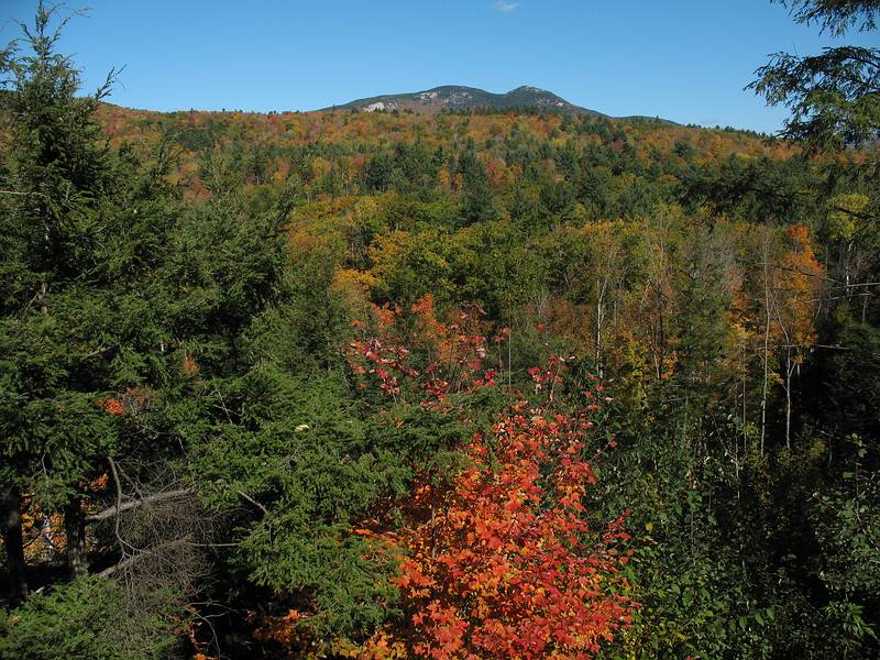 Oct. 11, 2008 - Campton, New Hamshire.<br />At Bill and Carol's log cabin.<br />Dickey and Welch peaks as seen from the rear deck.