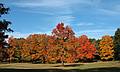 October 15, 2008 - Maudslay State Park, Newburyport, Massachusetts.