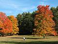 October 15, 2008 - Maudslay State Park, Newburyport, Massachusetts.