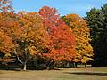 October 15, 2008 - Maudslay State Park, Newburyport, Massachusetts.