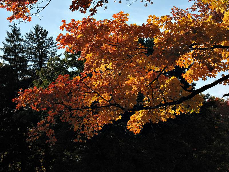 October 15, 2008 - Maudslay State Park, Newburyport, Massachusetts.