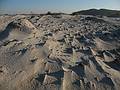 October 27, 2008 - Sandy Point State Reservation, Plum Island, Massachusetts.<br />Wind blown sand pattern.