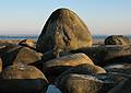 October 27, 2008 - Sandy Point State Reservation, Plum Island, Massachusetts.