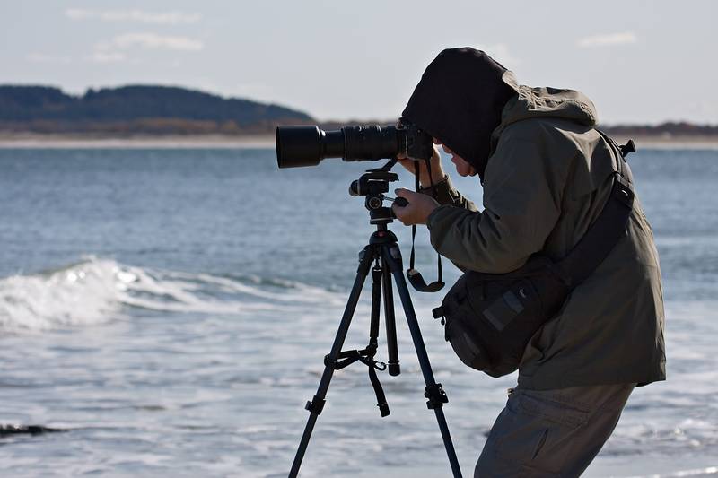 October 30, 2008 - Sandy Point State Reservation, Plum Island, Massachusetts.<br />John G.