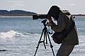 October 30, 2008 - Sandy Point State Reservation, Plum Island, Massachusetts.<br />John G.