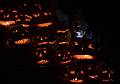 October 31, 2008 - Merrimac, Massachusetts.<br />Halloween Night at Kathie and Ron's.<br />The ghost of Ron among the pumpkins.