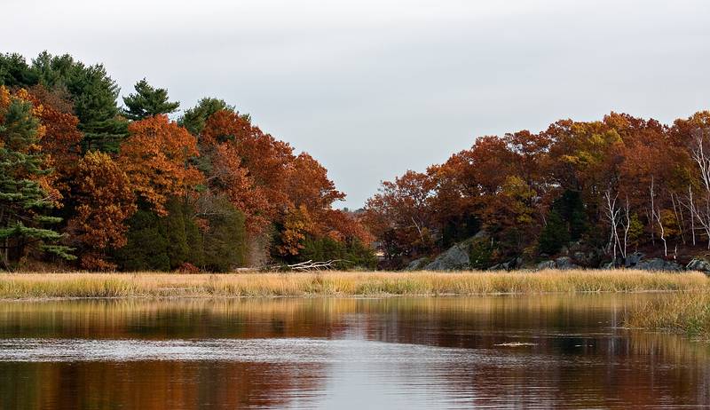October 3, 2008 - Old Town Hill (Trustees of Reservations), Newbury, Massachusetts.<br />Little River looking donwstream.