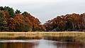 October 3, 2008 - Old Town Hill (Trustees of Reservations), Newbury, Massachusetts.<br />Little River looking donwstream.