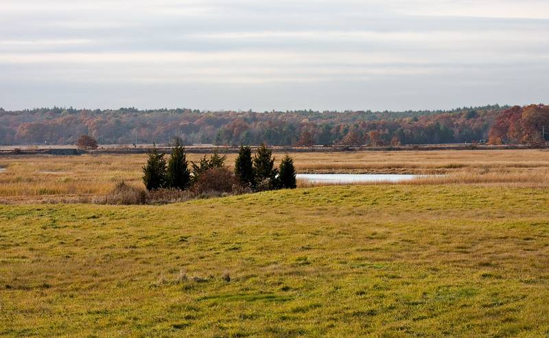 October 3, 2008 - Old Town Hill (Trustees of Reservations), Newbury, Massachusetts.