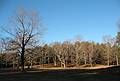 Nov. 19, 2008 - Maudslay State Park, Newburyport, Massachusetts.