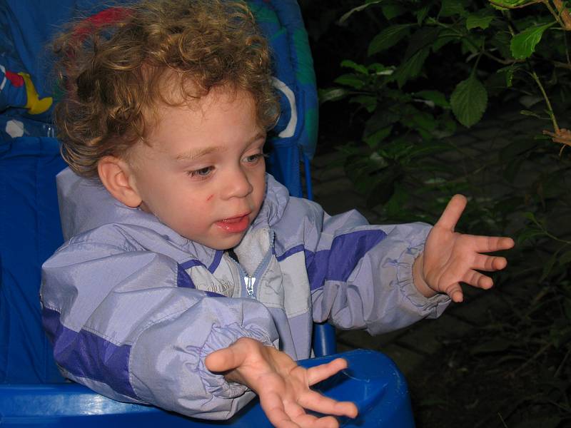 Nov. 22, 2008 - The Butterfly Place, Westford, Massachusetts.<br />Matthew.