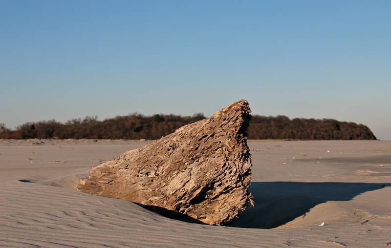 Dec. 3, 2008 - Sandy Point State Reservation, Plum Island, Massachusetts.