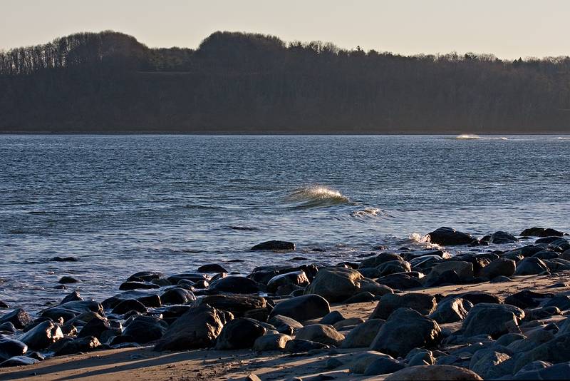 Dec. 3, 2008 - Sandy Point State Reservation, Plum Island, Massachusetts.