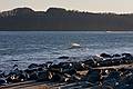 Dec. 3, 2008 - Sandy Point State Reservation, Plum Island, Massachusetts.