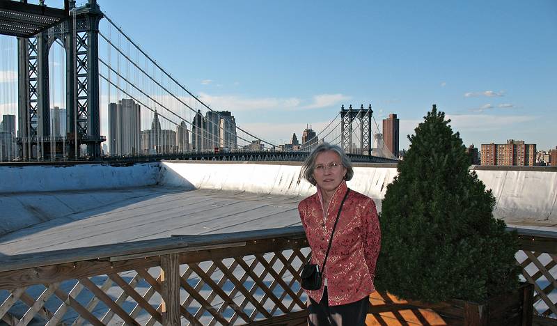 October 18, 2008 - Julian and Gisela's wedding, Brooklyn, New York.<br />Joyce with Manhattan Bridge in back.