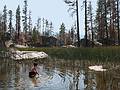 Sept. 7, 2008 - The day after the wedding, Mono Hot Springs, California.<br />Gujn in Doris Lake.