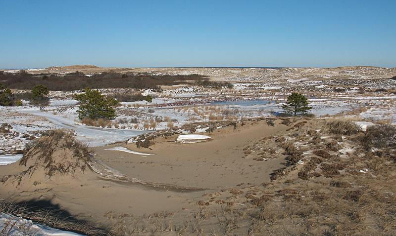 Jan. 4, 2009 - Parker River National Wildlife Refuge, Plum Island, Massachusetts.