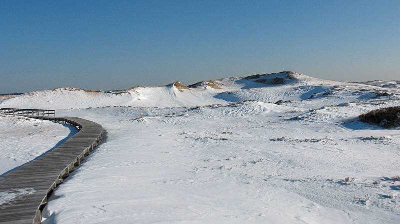 Feb. 6, 2009 - Parker River National Wildlife Refuge, Plum Island, Massachusetts.<br />Boardwalk off parking lot number 3.