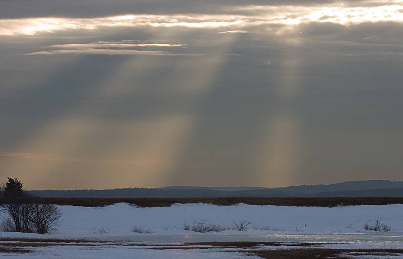 Feb. 11, 2009 - Parker River National Wildlife Refuge, Plum Island, Massachusetts.