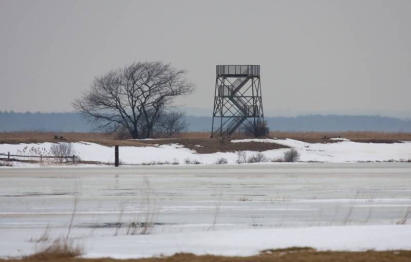 Feb. 11, 2009 - Parker River National Wildlife Refuge, Plum Island, Massachusetts.<br />Hellcat Swamp observation tower.