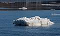 Feb. 17, 2009 - Deer Island, Amesbury, Massachusetts.<br />An iceberg on the Merrimack River.