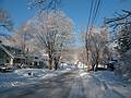 Feb. 21, 2009 - Merrimac, Massachusetts.<br />Around the house after a fresh overnight snowfall.