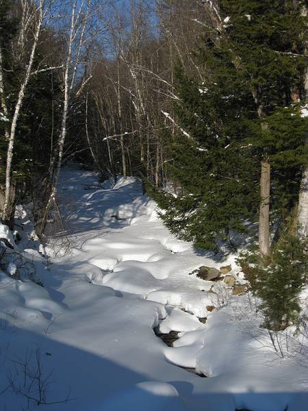 Feb. 21, 2009 - Off Rt. 49 in the White Mountains, New Hampshire.<br />On trail along Smarts Brook (photo by Joyce).