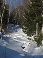 Feb. 21, 2009 - Off Rt. 49 in the White Mountains, New Hampshire.<br />On trail along Smarts Brook (photo by Joyce).