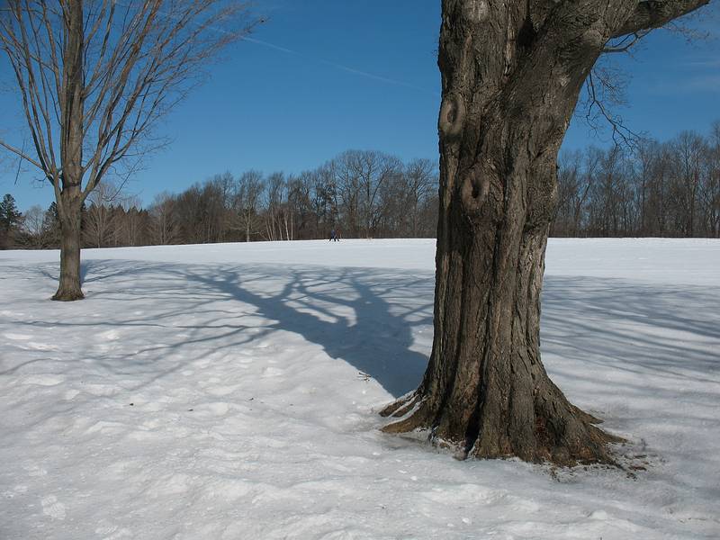 Feb. 24, 2009 - Maudslay State Park, Newburyport, Massachusetts<br />Me and my shadow.