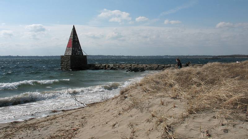 Feb. 27, 2009 - Salisbury State Park, Salisbury, Massachusetts.<br />Butler's toothpick.