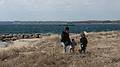 Feb. 27, 2009 - Salisbury State Park, Salisbury, Massachusetts.<br />Joyce, Matthew, and Miranda battling the wind.