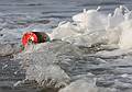 March 5, 2009 - Parker River National Wildlife Refuge, Plum Island, Massachusetts.<br />Lobster trap marker being washed ashore.