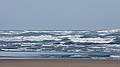 March 25, 2009 - Sandy Point State Reservation, Plum Island, Massachusetts.