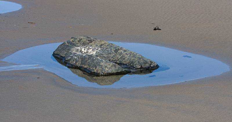 March 25, 2009 - Sandy Point State Reservation, Plum Island, Massachusetts.