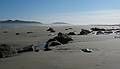 March 25, 2009 - Sandy Point State Reservation, Plum Island, Massachusetts.