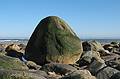 March 25, 2009 - Sandy Point State Reservation, Plum Island, Massachusetts.<br />The rock.