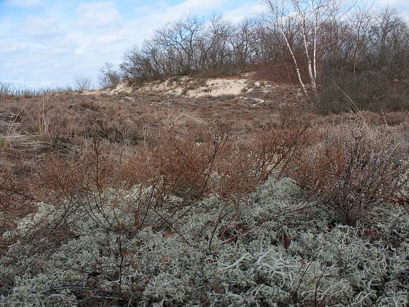 April 2, 2009 - Sandy Point State Reservation, Massachusetts.