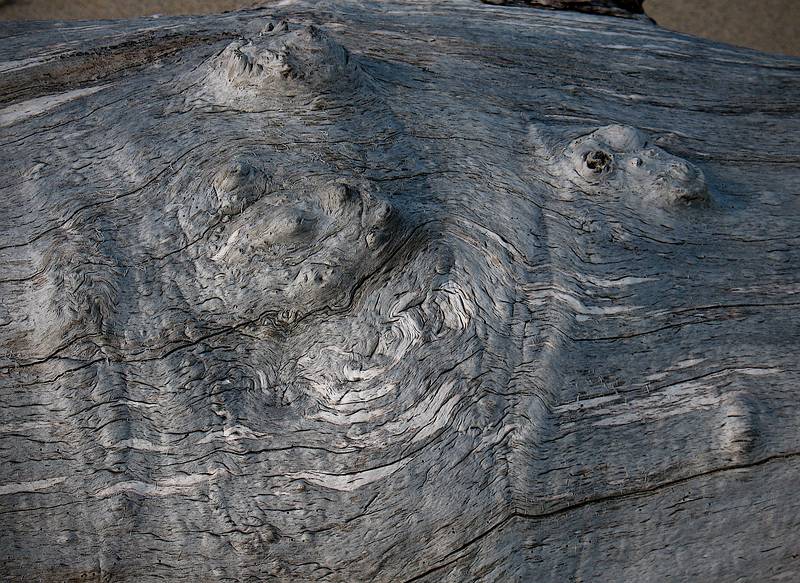 April 2, 2009 - Sandy Point State Reservation, Massachusetts.
