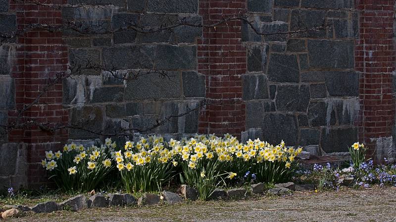 April 10, 2009 - Maudlay State Park, Newburyport, Massachusetts.