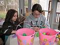 April 12, 2009 - At Tom and Kim's in South Hampton, New Hampshire.<br />Miranda and Ashley checking their eggs.